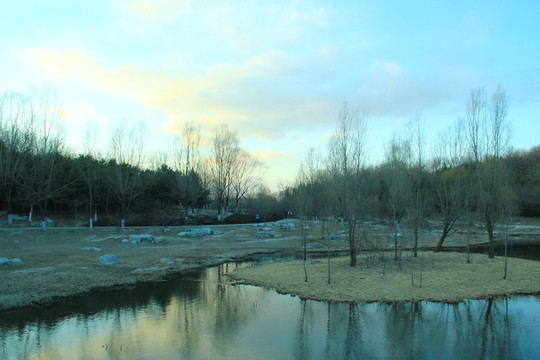 奧林匹克公園濕地