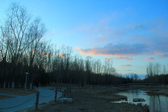奧林匹克公園濕地