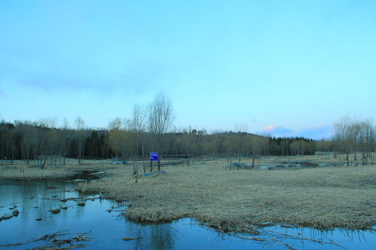 奧林匹克公園濕地