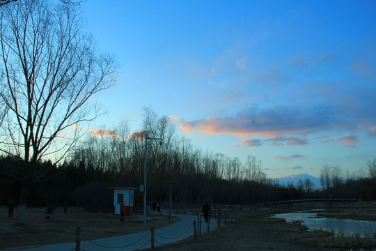 奧林匹克公園濕地