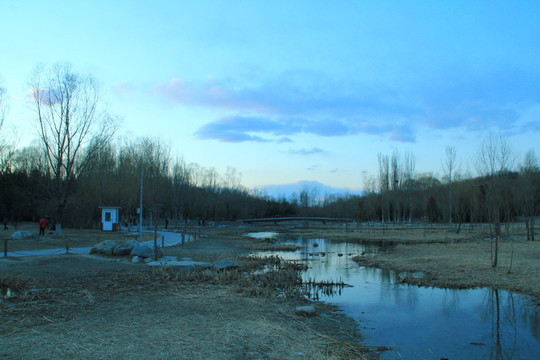 奧林匹克公園濕地