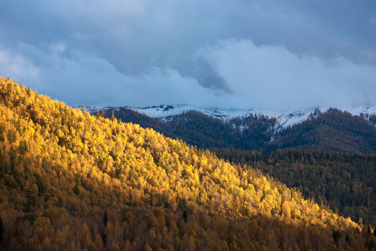 秋景