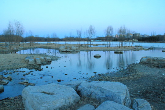 奧林匹克公園濕地