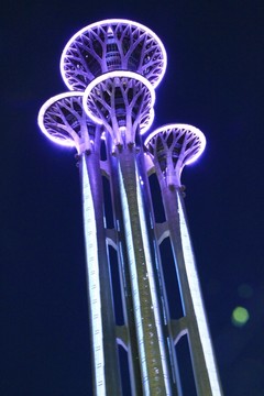 奧林匹克觀光塔夜景