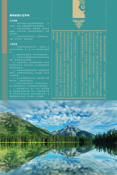 校園文化企業(yè)文化建設(shè)之森林