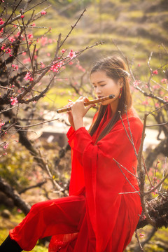紅衣美女在桃花樹間吹笛子