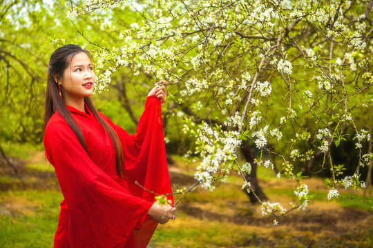 紅衣美女賞李花