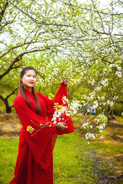 紅色古裝美女賞花