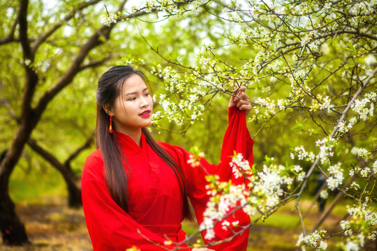 紅色古裝美女賞花