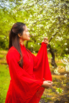 紅色古裝賞花美女