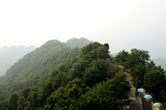 秦嶺青華山 高格