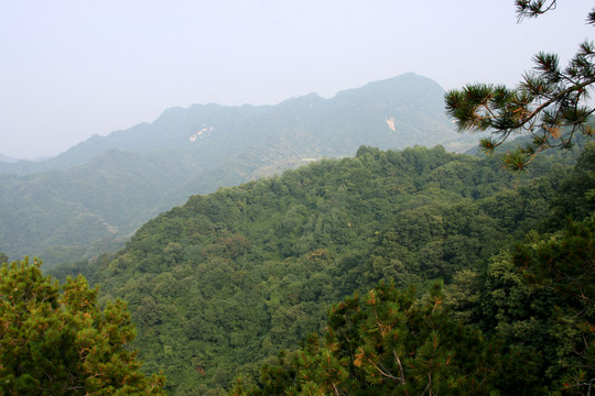 秦嶺青華山 高格
