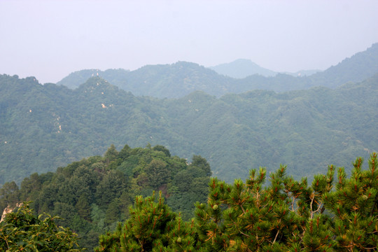 秦嶺青華山 高格