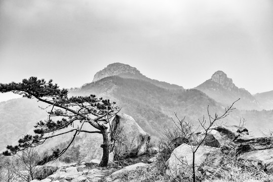 蒙山 大云蒙峰