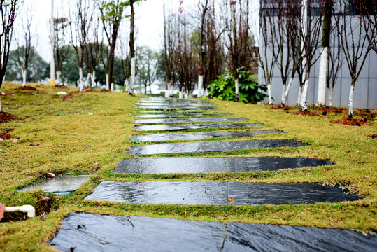 雨中小路
