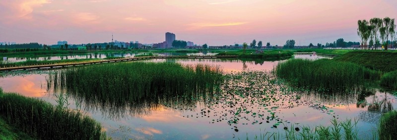 濕地黃昏