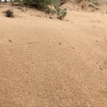 荒漠沙化沙漠