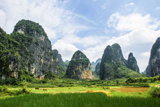 山野風(fēng)光