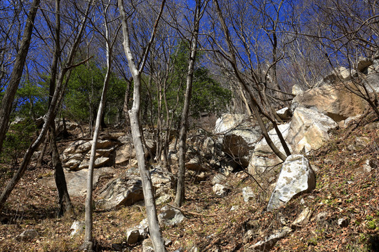 秦嶺秘境萬華山 高格