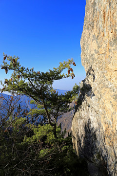 秦嶺萬華山 高格