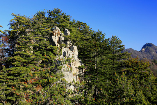 秦嶺萬華山 高格