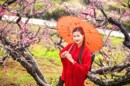 桃花叢中的古典美女模特