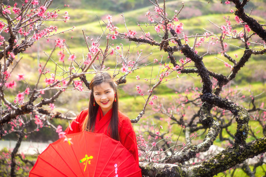 紅色古裝美女賞花踏青