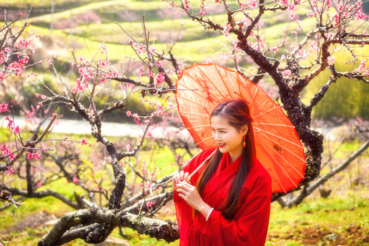 撑红伞的美女观赏桃花