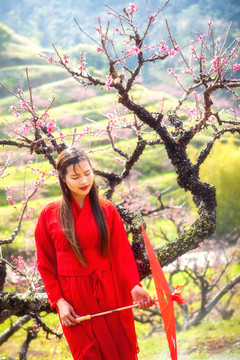 手拿紅傘的少女觀賞桃花