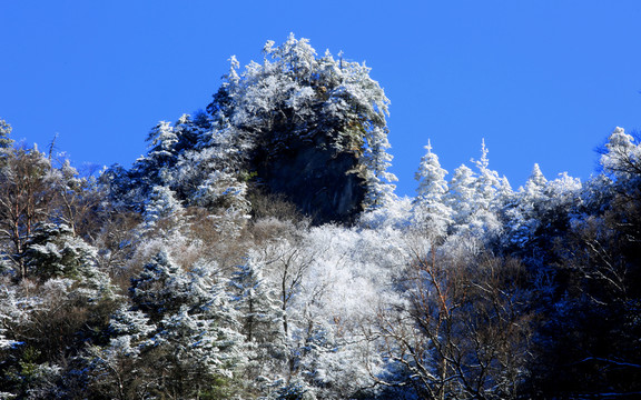 神農(nóng)架天燕神奇雪淞 高格