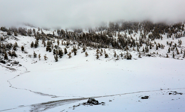 新疆喀納斯雪景 高格