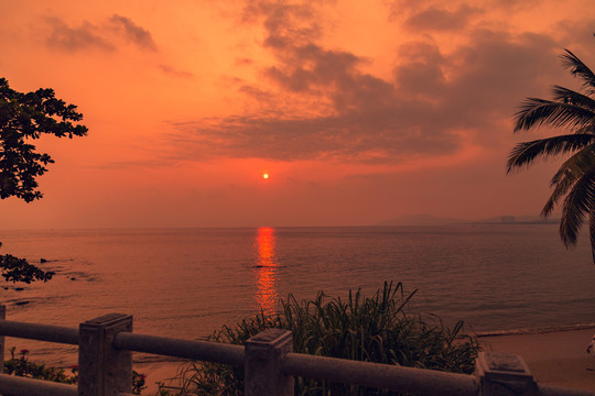 海邊椰樹夕陽