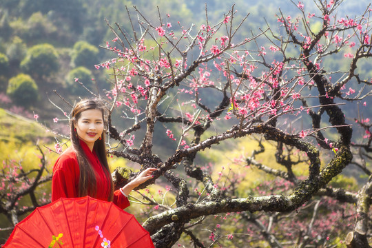 桃花美女人像攝影