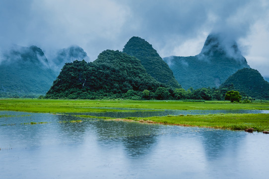霧色田園風(fēng)光