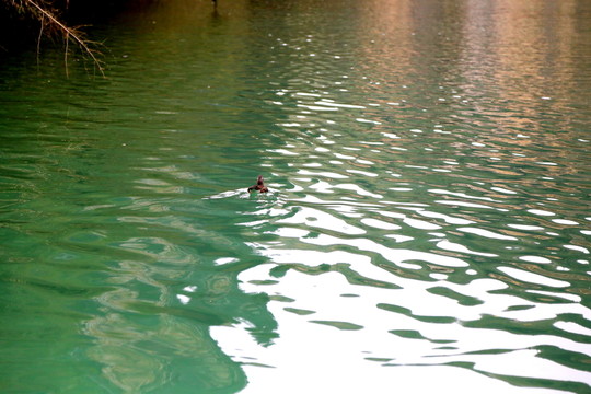 湖水