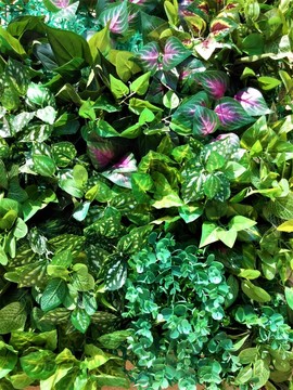 綠植墻 花墻 綠葉墻