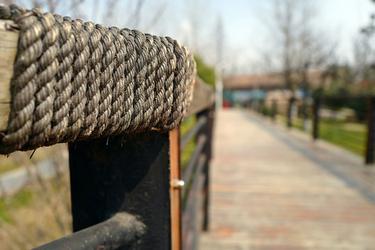 動(dòng)物園 戶外 休閑場(chǎng)所 春天