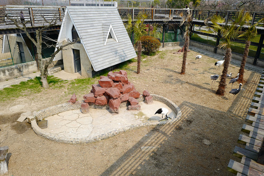 動物園 戶外 休閑場所 春天