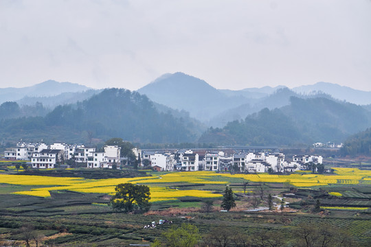 婺源