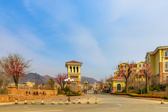別墅區(qū)入口景觀