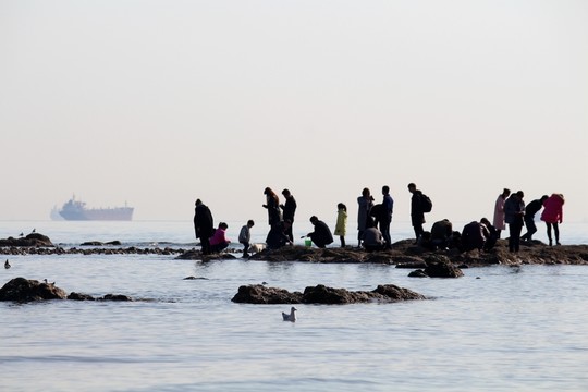 海邊拾貝