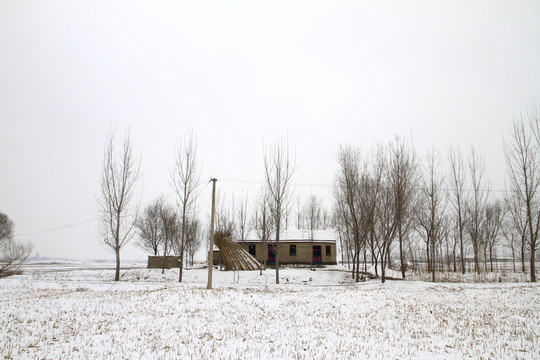 鄉(xiāng)村雪景