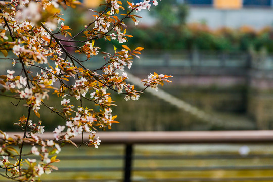 東湖公園