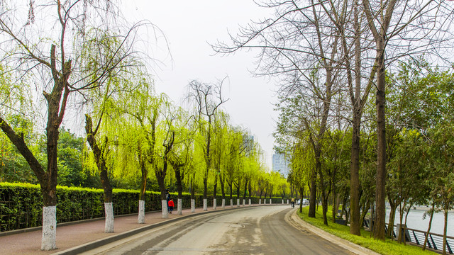 東湖公園