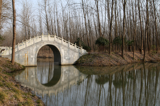 濕地森林公園 石拱橋
