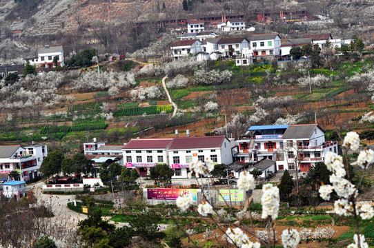 春到農(nóng)家