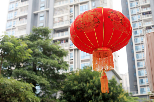大紅燈籠高高掛