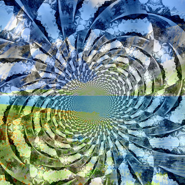 花型裝飾畫