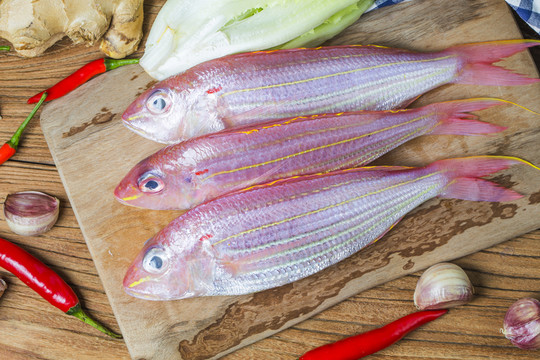 鯛魚