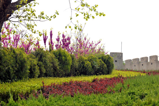 園林綠化風(fēng)景  園林園藝